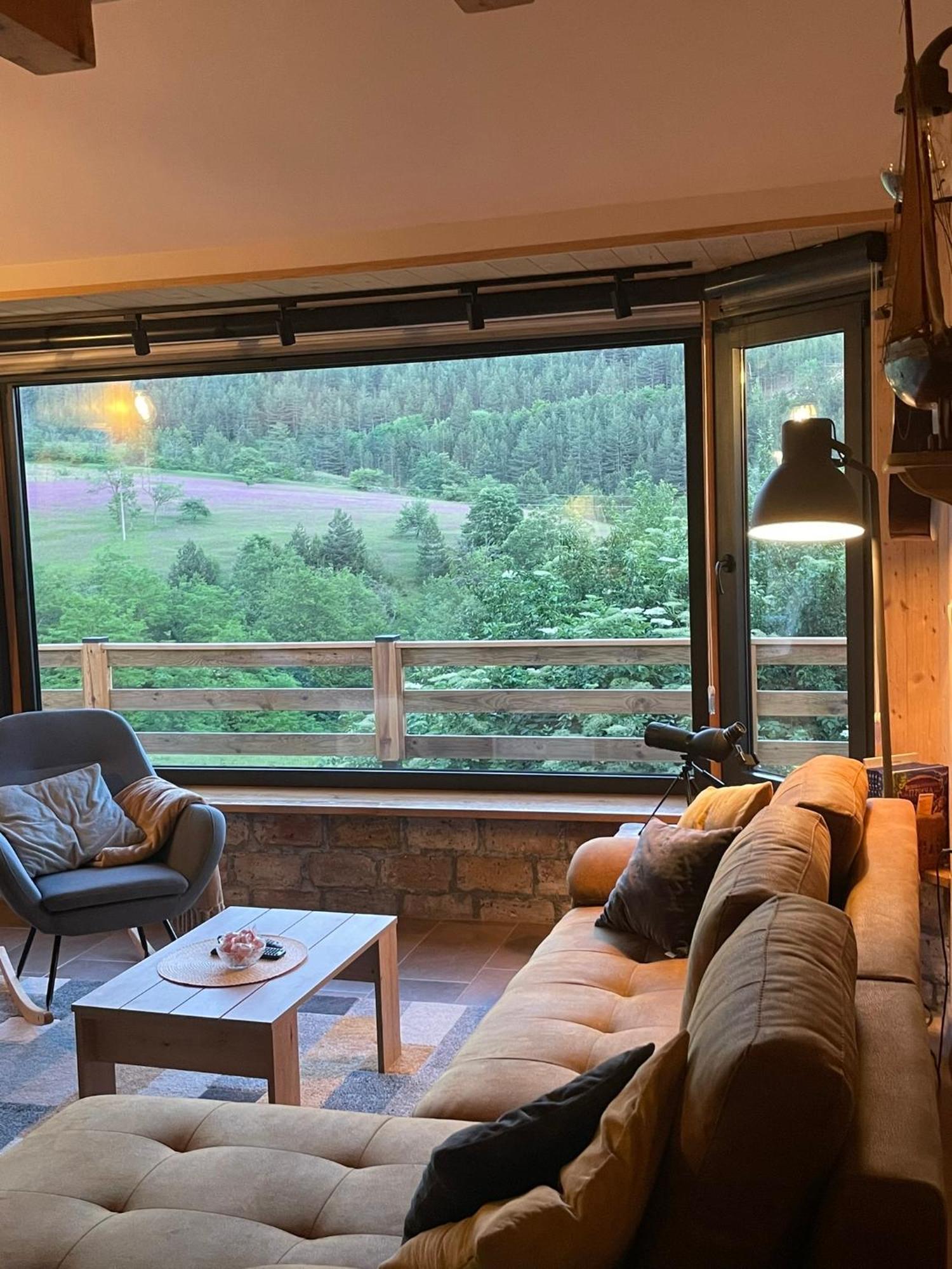 Villa Zemunica Resimic Mokra Gora Exterior foto